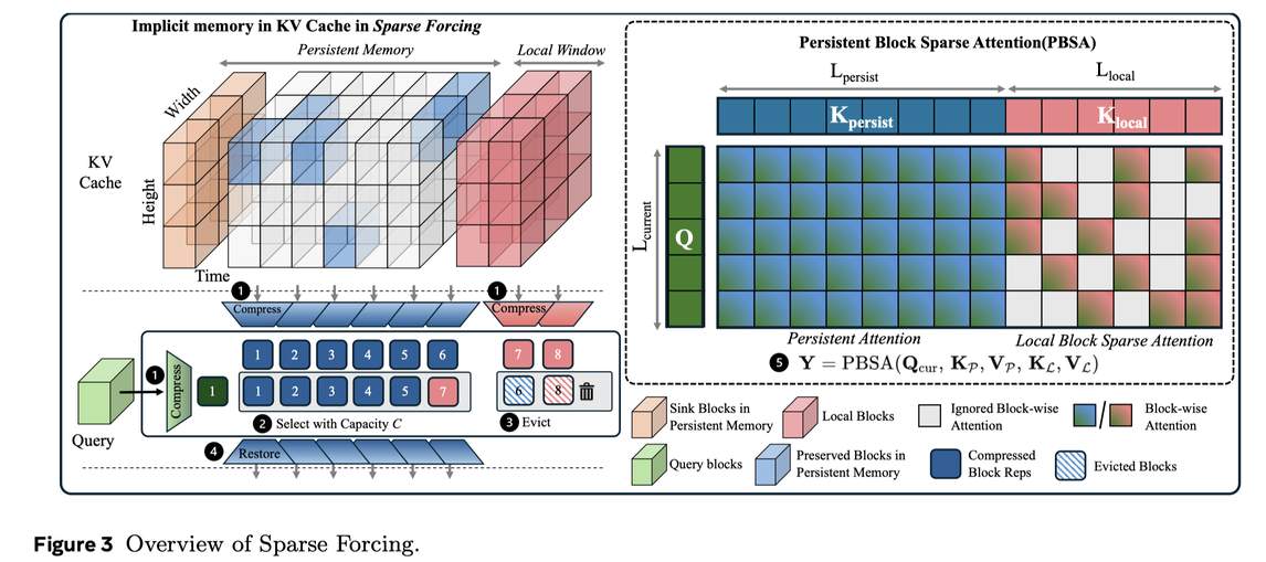 Sparse Forcing: Native Trainable Sparse Attention for Real-time ...